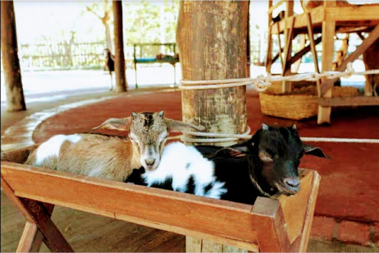 Olimpia Park Resort - Resort Em Olímpia 外观 照片